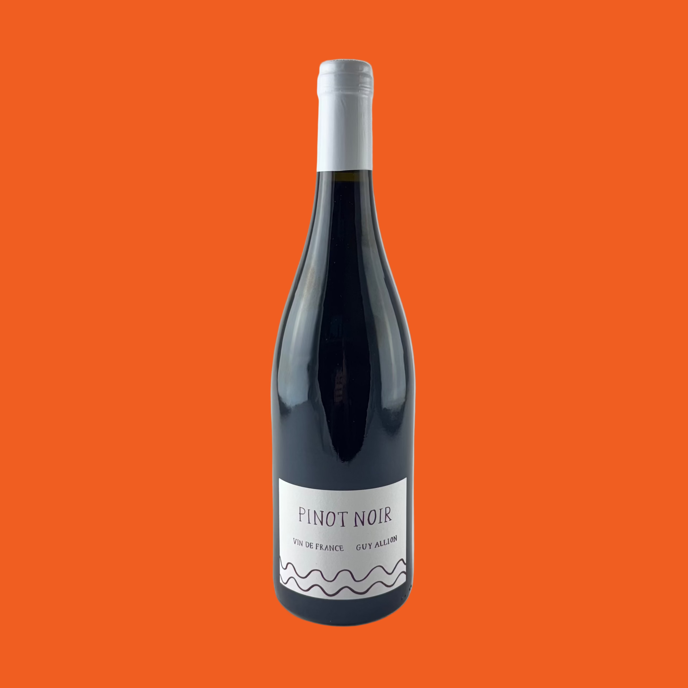Bottle of Guy Allion Pinot Noir red wine with a white label on an orange background