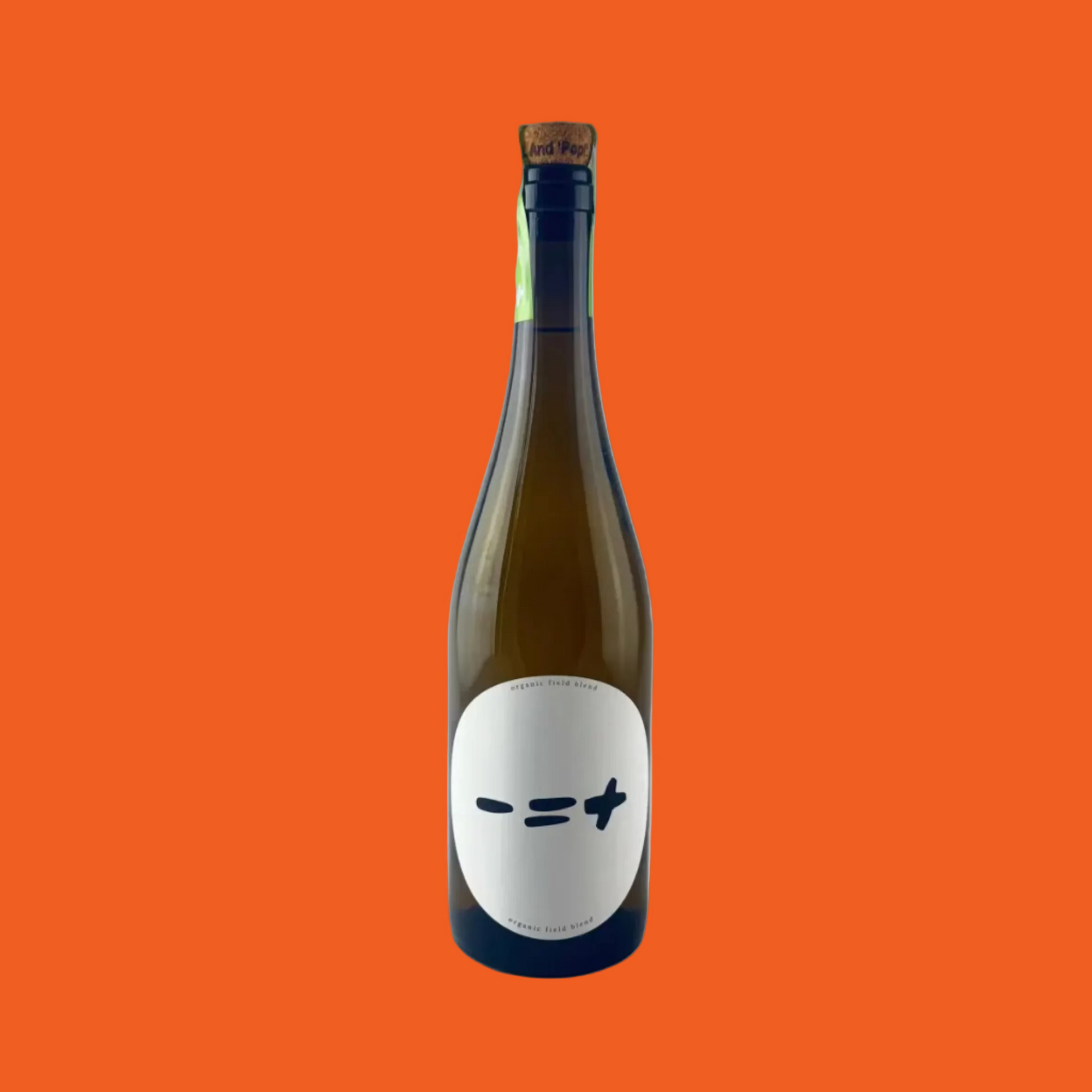 Wine bottle with a minimalist label on a orange background

