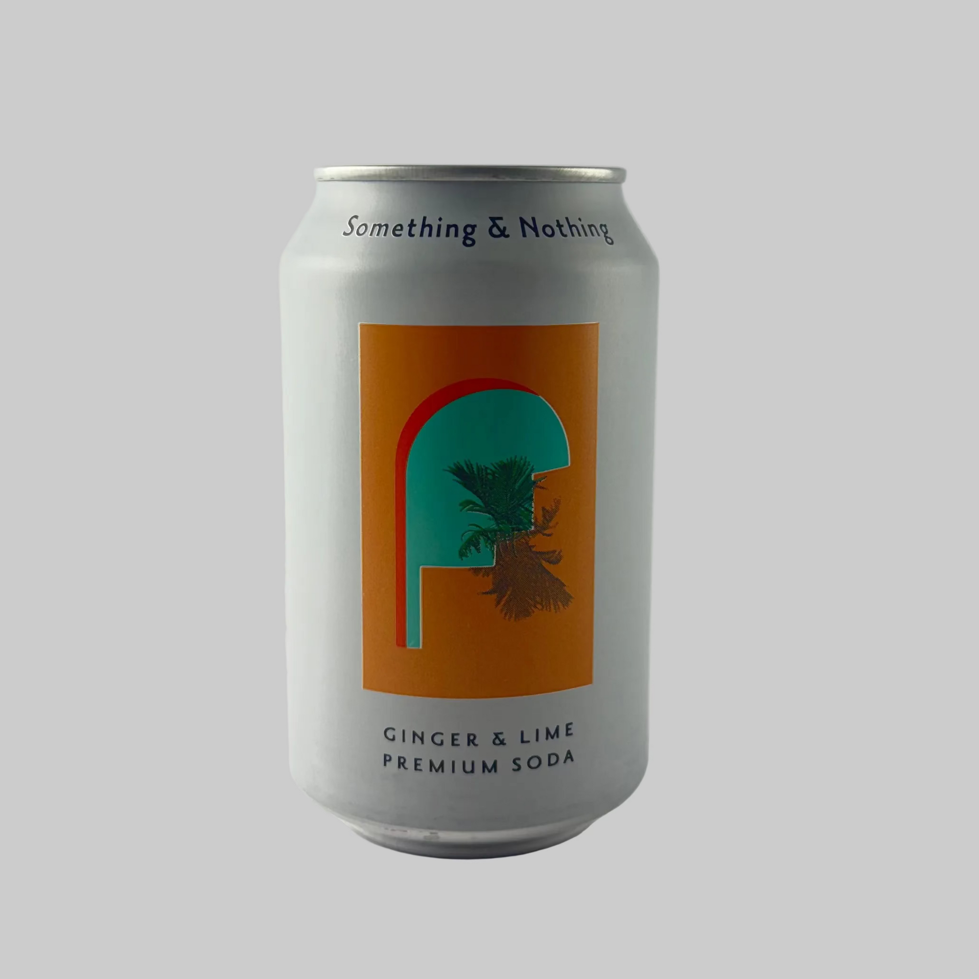 Can of 'Something & Nothing' ginger lime premium soda on a white background

